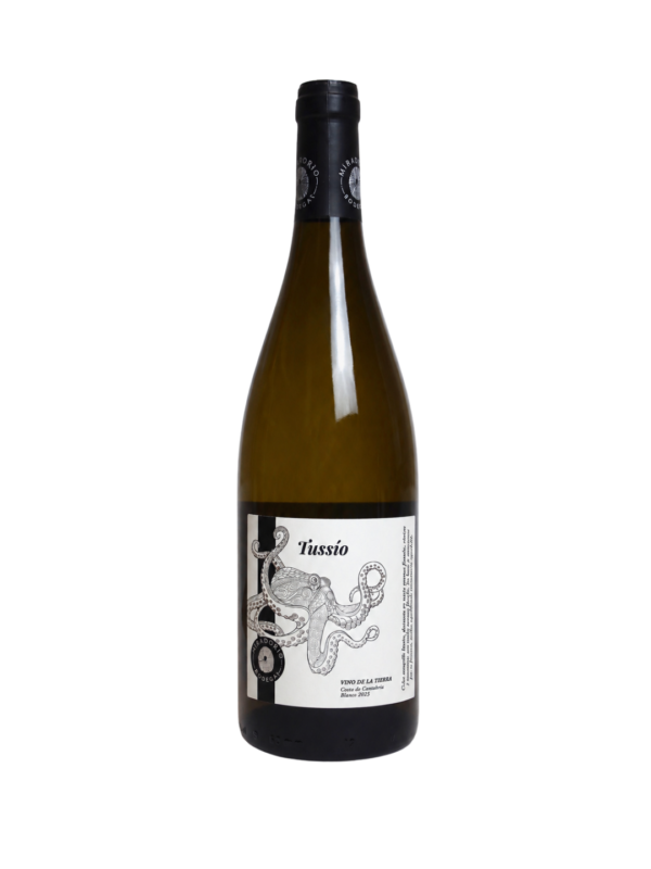 Tussio 2022 - IGP Vinos de la Costa De Cantabria