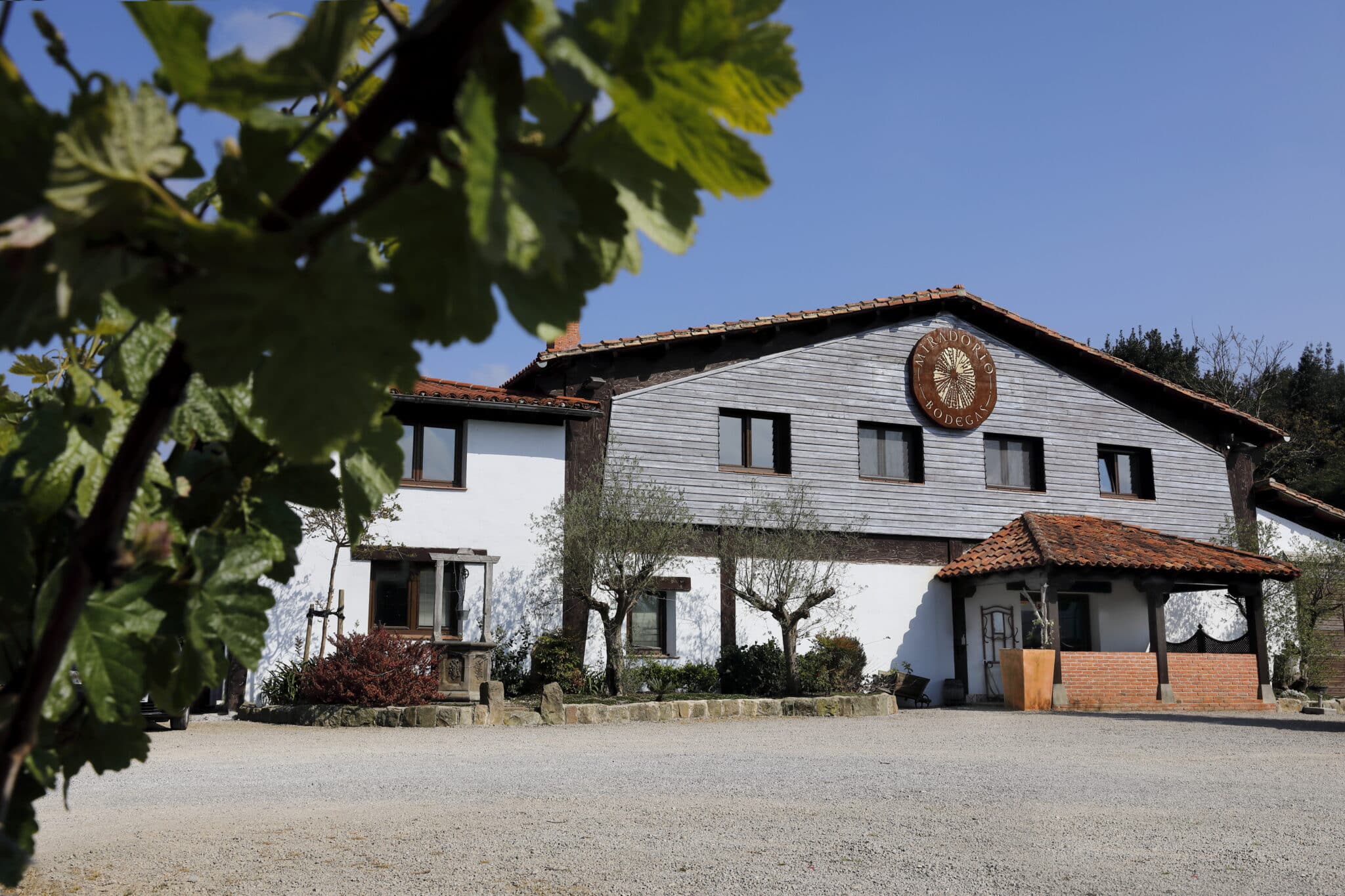 Bodega Miradorio-foto Javier Rosendo (143)